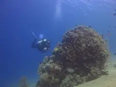 Red Sea Dive Center 