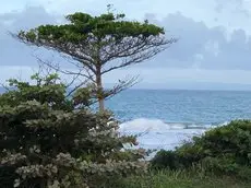 Barefoot Beach Pad 