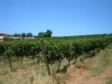 Azienda Agricola Sinisi 