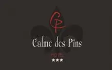 Hotel Calme Des Pins SPA 