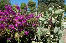 Ostuni Rosa Marina Resort 