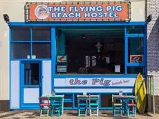 The Flying Pig Beach Hostel 