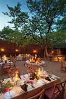 Motswari Private Game Reserve 