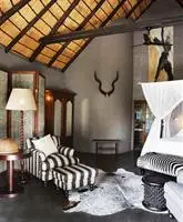 Motswari Private Game Reserve 