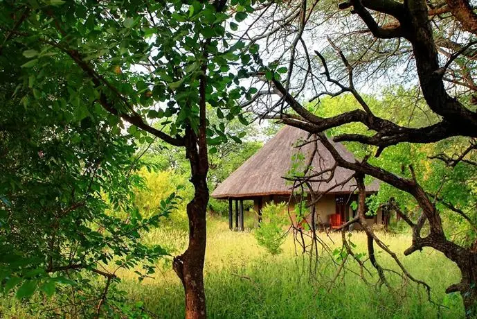 Motswari Private Game Reserve 