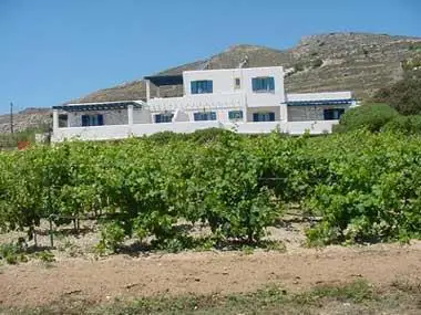 Kykladitikos Kedros Hotel Naoussa 