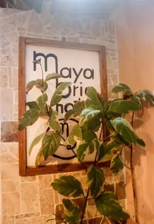 Maya Bric Hotel 