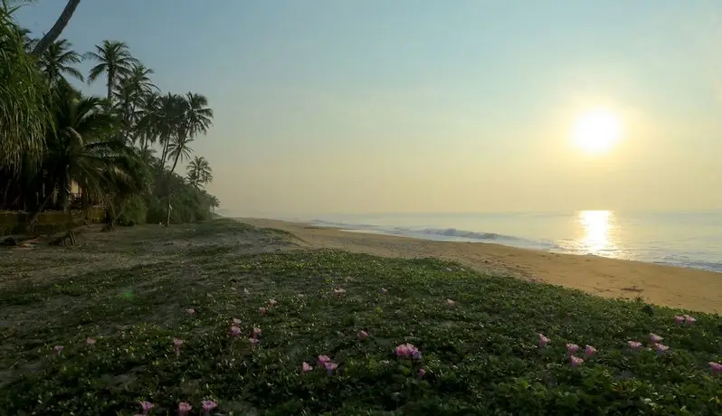 Nature Lanka Ayurveda Health Resort 