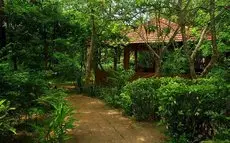 Nature Lanka Ayurveda Health Resort 