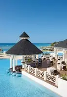 Secrets Wild Orchid 