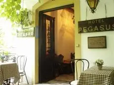 Pegasus Hotel Samos 