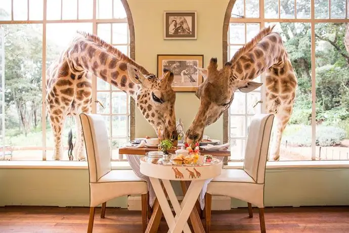 Giraffe Manor Hotel Nairobi 