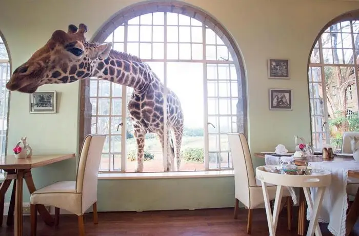 Giraffe Manor Hotel Nairobi 