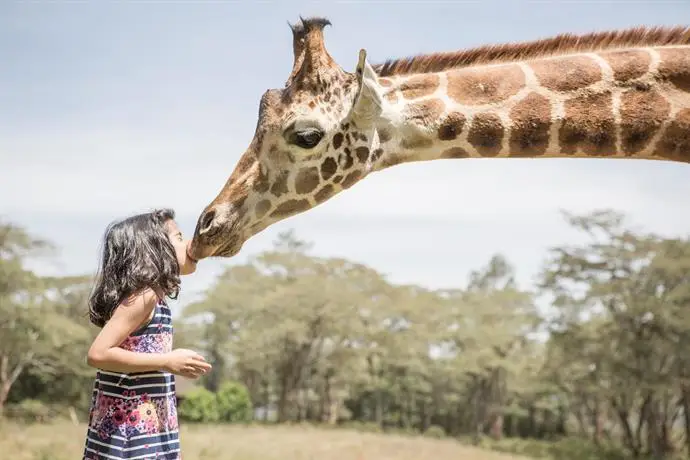 Giraffe Manor Hotel Nairobi 