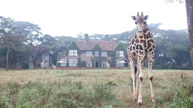 Giraffe Manor Hotel Nairobi 