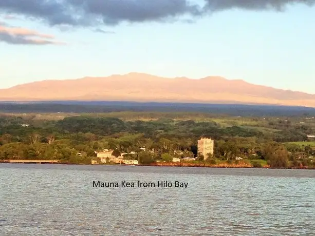 Lava Pond Lodge 