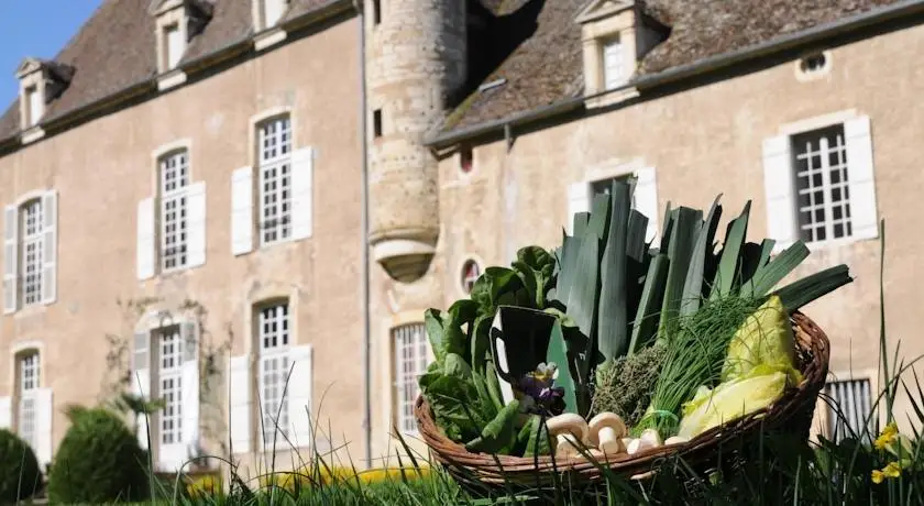 Chateau de Vault de Lugny 