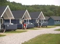 Riis Camping & Cottages 