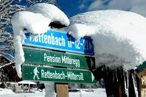 Gastehaus Mitteregg Hollersbach im Pinzgau 