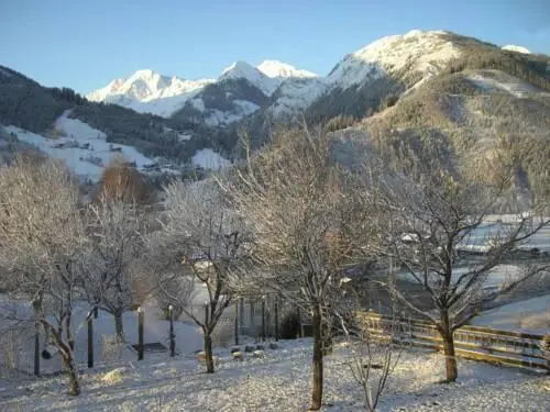 Gastehaus Mitteregg Hollersbach im Pinzgau 