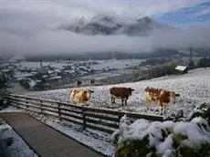 Gastehaus Mitteregg Hollersbach im Pinzgau 