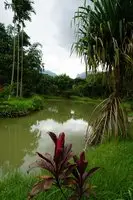 Du Doi Suay Resort Chiang Rai 