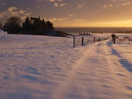 Bakkegaard Mons Klint 