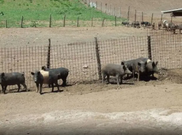 Agriturismo Il Marrugio 