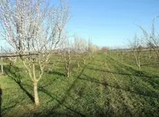 Agriturismo Il Marrugio 