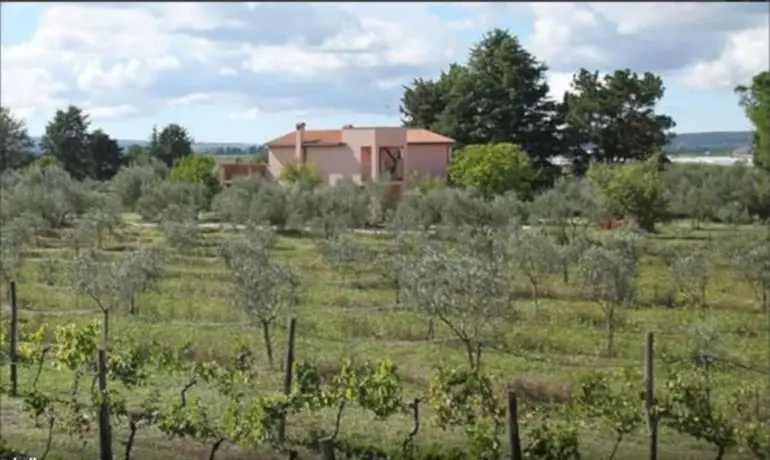 Agriturismo Il Marrugio 