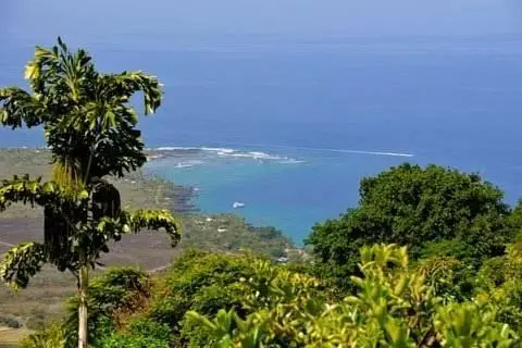 Ka'awa Loa Plantation 