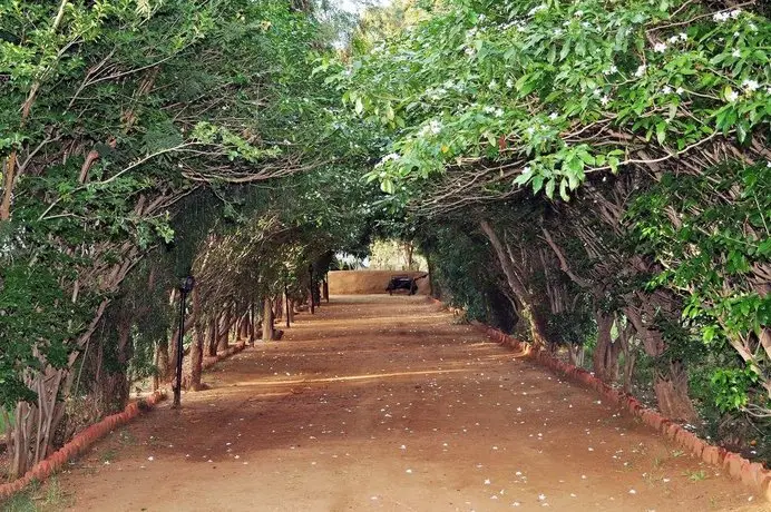 Tiger Machan Resort 