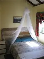 Mrs Robinson Cottage Rentals Roseau Dominica