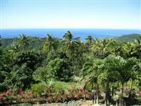 Mrs Robinson Cottage Rentals Roseau Dominica