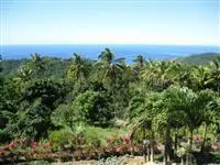 Mrs Robinson Cottage Rentals Roseau Dominica 