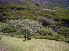 Agulhas Country Lodge & Restaurant 