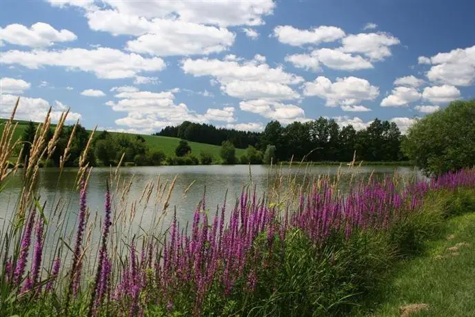 Golf- und Landhotel Anetseder 