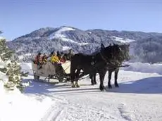 Ferienwohnungen Pension Sonnblick 