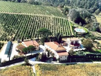 Azienda Agricola Buon Riposo 