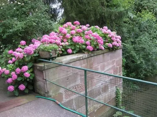 Le Moulin De La Wantzenau - Strasbourg Nord 