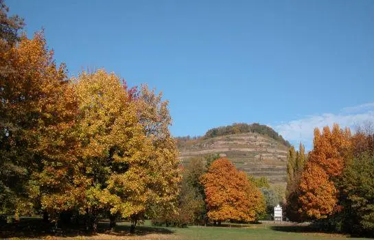 Hotel The Originals Domaine de Beaupre 