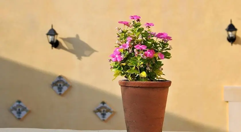 Il Giardino Del Barocco 