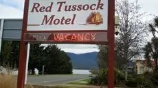 Red Tussock Motel 