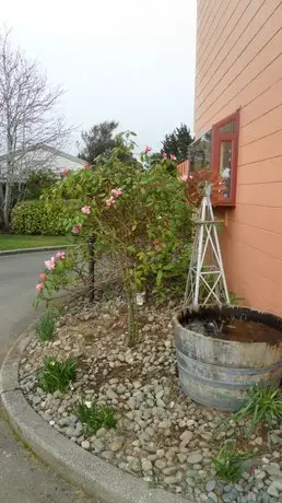 Red Tussock Motel 