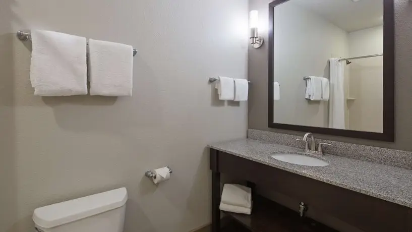 Best Western PLUS Austin Airport Inn & Suites 