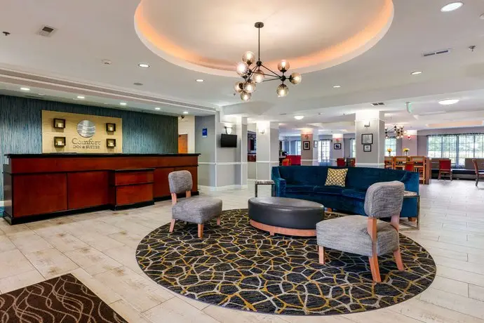 Comfort Inn & Suites Savannah Airport 