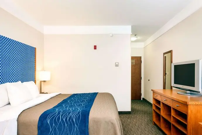 Comfort Inn & Suites Savannah Airport 