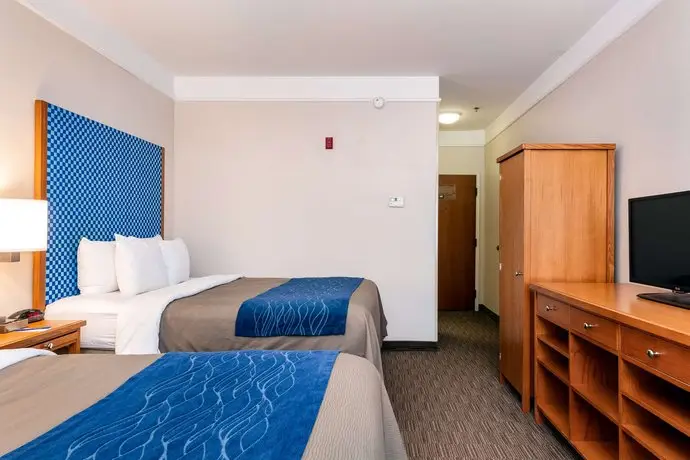 Comfort Inn & Suites Savannah Airport 