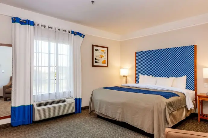 Comfort Inn & Suites Savannah Airport 