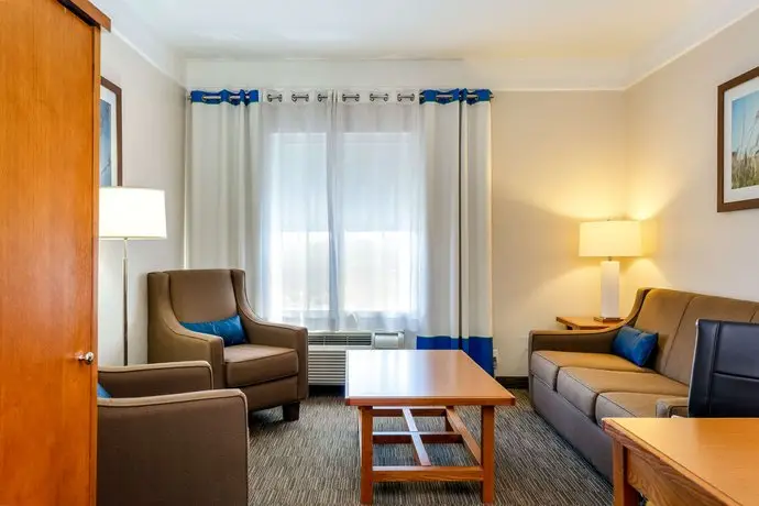 Comfort Inn & Suites Savannah Airport 